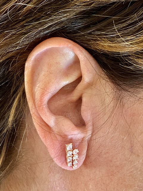 Orecchini A Lobo In Argento 925 Con Zirconia E Lettera A-Z – Oreccchini A Bottone Minimal Donna, Placcato Oro Rosa (Confezione Regalo)