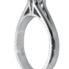 OR00360 (2)