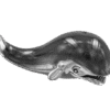AR08624 (3)