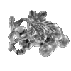 AR01046 (2)