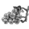 AR01046 (3)